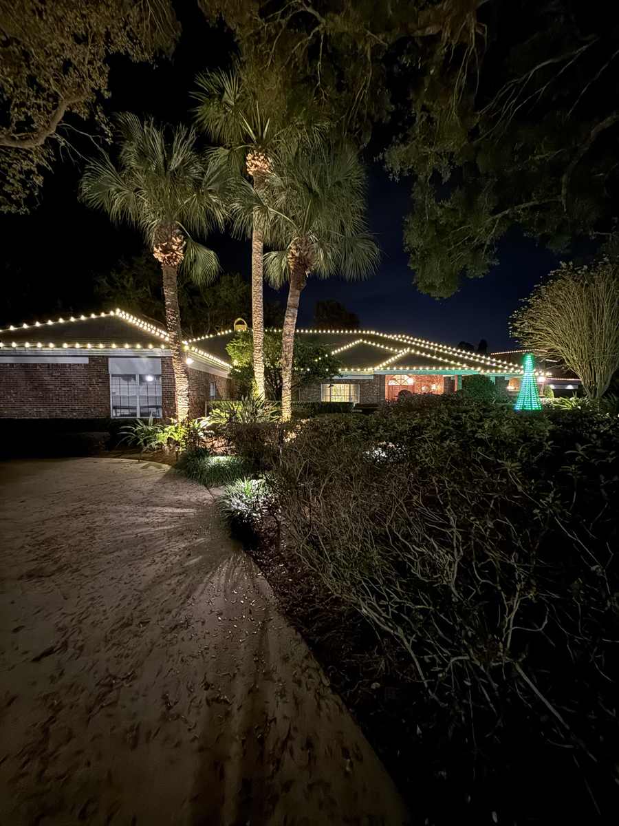 Lakefront Home, Palm Wraps + Garland — Dr Phillips FL